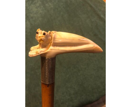 Stick with ivory knob depicting a dog coming out of a trunk.     