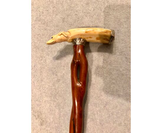 Stick with ivory knob with dog&#39;s head and woven cane.     