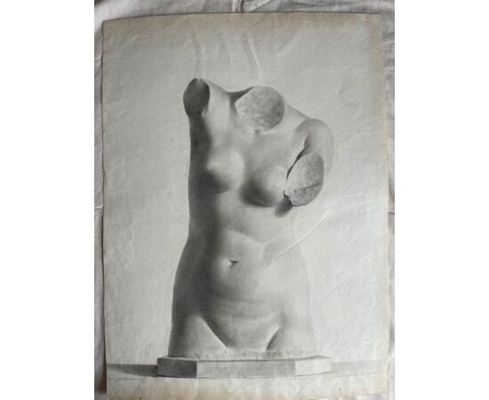 Pencil drawing on paper depicting a statue torso.