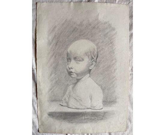 Pencil drawing on paper, marble bust of a boy, Federico Pietra, Bologna.