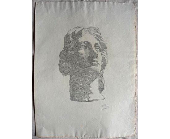 Pencil drawing on paper depicting a marble head.Arturo Pietra.Bologna.     