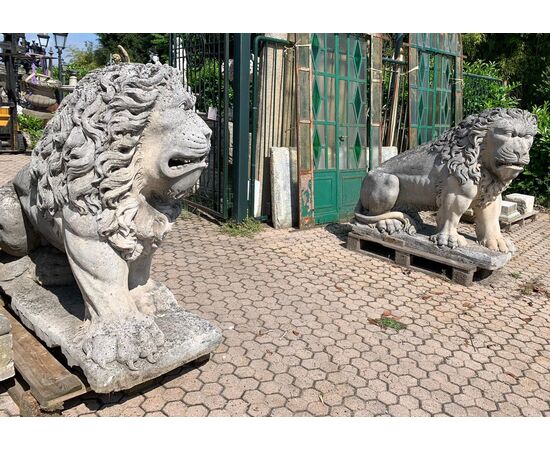 dars388 - coppia leoni in pietra di Vicenza, cm l 62 x h 130 x p. 150 
