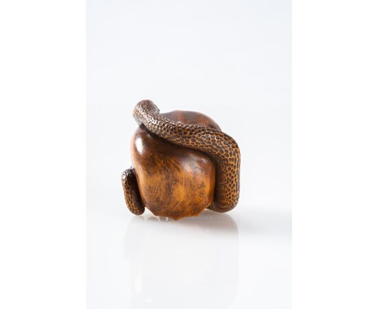 Yukoku – Superba Vanitas in legno di bosso con serpente