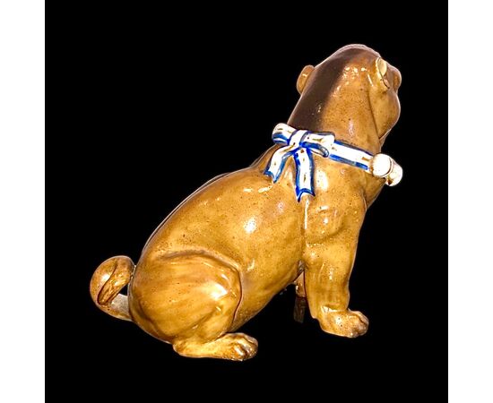 Cane Carlino in porcellana policroma.Manifattura di Dresda,Germania.