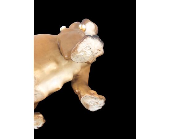Cane Carlino in porcellana policroma .Manifattura di Dresda,Germania.